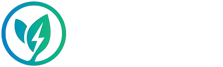 Bluvion Group